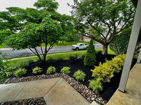 A mulched planting bed with a small multi-stemmed tree, a cone-shaped conifer and young shrubs, edged with river rock beside a concrete walk