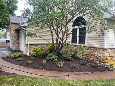 New shrubs and perennials in a curved planting bed under a small tree, against a house with a stone base